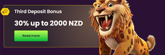 Bizzo Casino Third Deposit Bonus