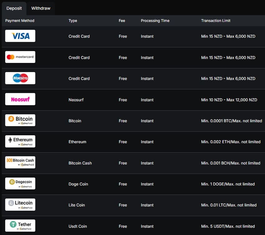 Casinochan Payment and Withdrawal Methods