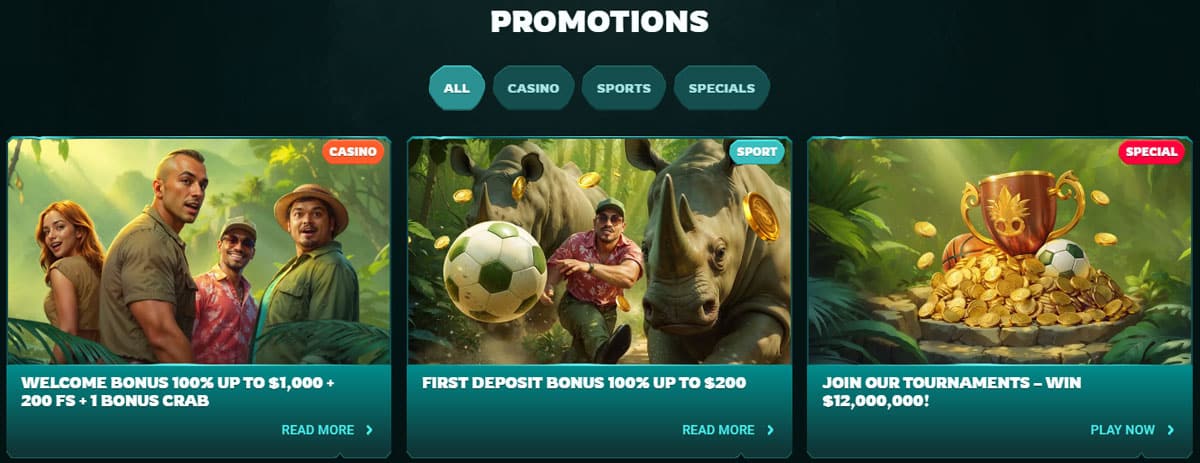 Playio Casino Bonuses 