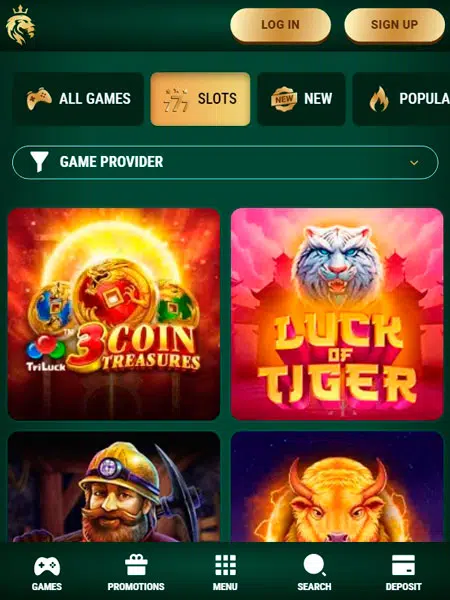 Rich Spin Casino